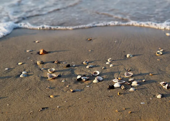 Renewed Two-bedroom In Appartamento *