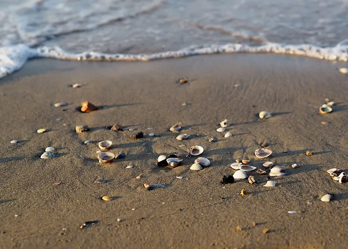 Renewed Two-bedroom In Appartamento Bibione